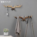 【数量限定!10%OFFクーポン利用で2,151円】壁掛けフック 帽子掛け 洋服掛け コートフック モダン おしゃれ 鍵入れ 見せる収納 掛ける 北欧 壁掛け ...