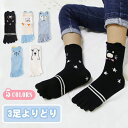 【数量限定!10%OFFクーポン利用で1,782円】【3足よりどり】子供 靴下 子供用五本指ソックス キッズ ショートソックス くつ下 男の子 女の子 スポーツ...