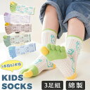 【数量限定!10%OFFクーポン利用で1,872円】【選べる3足組】子供 靴下 5本指 2本指 キッズ ショートソックス 綿 カラフル くま柄 くつ下 男の子 ...