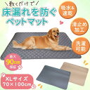 ペットシーツ シート 厚手 洗える スーパーワイド 厚型 大判 レギュラー デオシート トイレシート トイレマット 大型犬 犬用 車