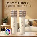 カラオケスピーカーセット ワイヤレスマイク2本 拡声器 Bluetooth5.0対応 充電式 低音強化機能搭載 iPhone Android ワイヤレス マイク...
