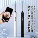 カメラ付き耳かき 耳かき 耳掃除 耳掻き 耳鏡 LEDライト 口腔ケア 耳 鼻 見える耳かき 介護耳かき 見える 耳垢 高画質 内視鏡付き