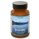 E3Live(Brain on）ブレインオン パウダー50g ブルーグリンアルジー