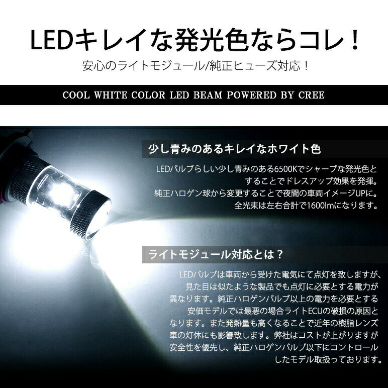 ZZW30系 後期 MR-S LED フォグランプ HB4 30W CREE/クリー プロジェクター発光 ホワイト/6500K 2個入り 車検対応 3