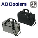 AOクーラーズ クーラーボックス 36 PACK CANVAS COOLER キャンバス 保冷バッグ アウトドア キャンプ AO Coolers