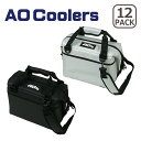AOクーラーズ AO Coolers クーラーボックス AO Coolers 12 PACK CARBON カーボン