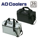 AOクーラーズ AO Coolers クーラーボックス AO Coolers36 PACK CARBON カーボン