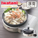 イワタニ ビストロの達人プラス カセットガスコンロ 深型グリルパン カセットガスグリルパン CB-BST-PLS イワタニカセットフー Iwatani