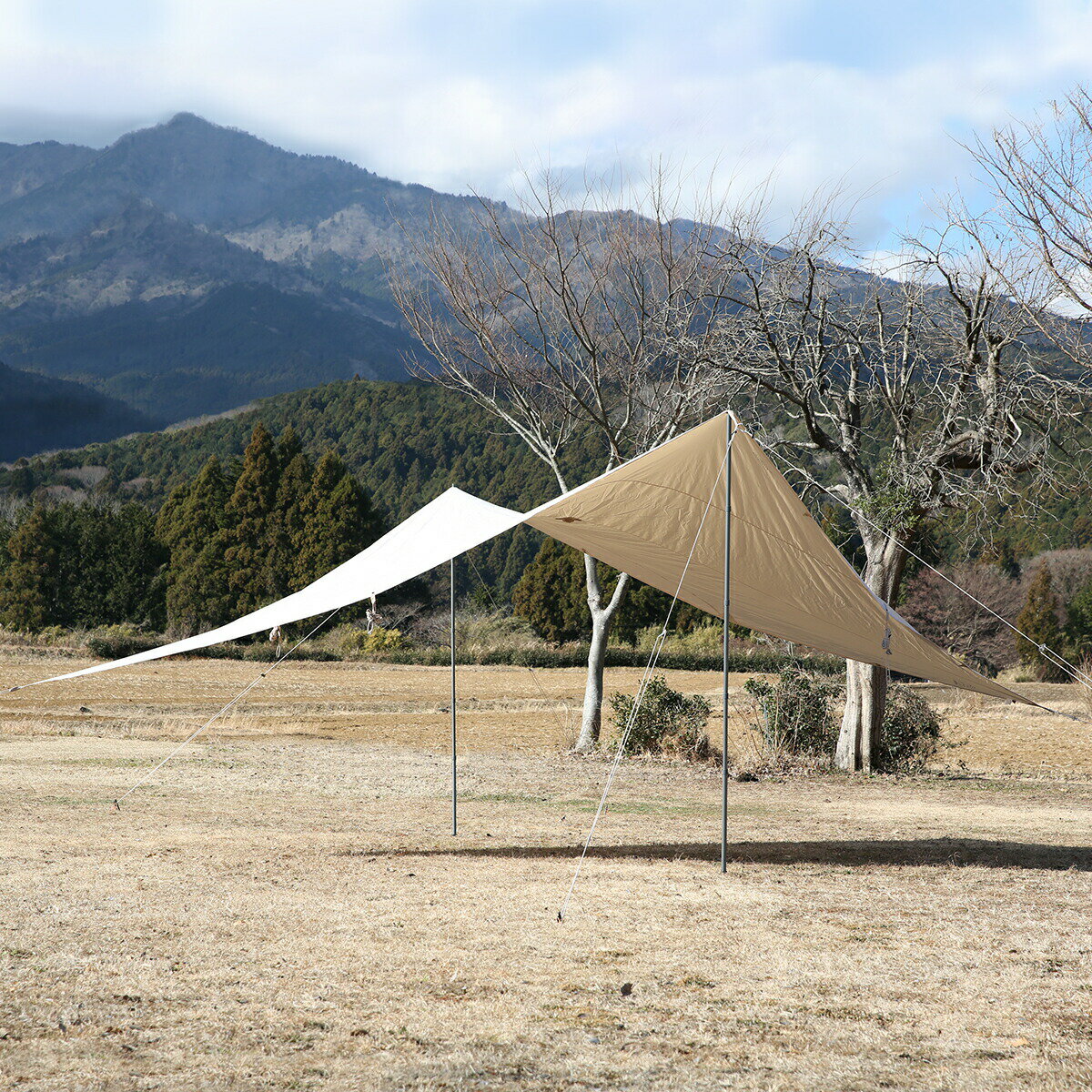 【ポイント5倍 5/23 20時-】ノルディスク タープ カーリ ダイヤモンド 20【2022年モデル】 Nordisk Kari Diamond カリ Basic Cotton Tentwing Incl. Pegs/Poles/Guy Ropes 142041