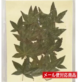 本製品は自然の草花を乾燥させ「押し花」に加工処理したものです。 内容量：20枚 サイズ：葉径約4&#12316;6cm ※お取り扱い注意点 ・非常にデリケートで壊れやすい為、ご使用の際は丁寧にお取り扱いください。 ・湿度・直射日光に弱く退色...