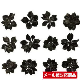 本製品は自然の草花を乾燥させ「押し花」に加工処理したものです。 内容量：12枚 サイズ：L約2.5&#12316;4.0cm 本製品は自然の草花を乾燥させ「押し花」に加工処理したものです。 クリアリウムへの使用は画像をご参考ください。 ※お取り扱い注意点 ・着色加工が施されています。使用用途によっては色落ちや抜けの可能性がございますので ご使用前に少量でお試しください。 ・非常にデリケートで壊れやすい為、ご使用の際は丁寧にお取り扱いください。 ・湿度・直射日光に弱く退色等の原因になりますので、開封後は早めにご使用ください。 ・開封後残った場合は空気に触れないよう密封状態で直射日光を避けて保管ください。 &lt;関連ワード&gt; ハーバリウム 花材 お試し セット 小分け 少量 レジン アクセサリー リース ヘア キット ワークショップ 5000円以上送料無料 土日も発送 小分け 問屋 安い 福袋 プリザーブドフラワー ドライフラワー 専門店 資材 花資材 卸 クリスマス ブリザードフラワー ブリザーブドフラワー エポキシ 型 レジンクラフト パーツ レジン レジン型 オルゴナイト レジン素材 ハンドメイド モチーフ 封入 ハンドクラフト 花 花材 シリコン モールド 羽 フェザー アクセサリー キット ワークショップ 3D