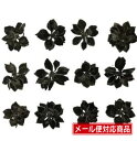 本製品は自然の草花を乾燥させ「押し花」に加工処理したものです。 内容量：12枚 サイズ：L約2.5&#12316;4.0cm 本製品は自然の草花を乾燥させ「押し花」に加工処理したものです。 クリアリウムへの使用は画像をご参考ください。 ※お取り扱い注意点 ・着色加工が施されています。使用用途によっては色落ちや抜けの可能性がございますので ご使用前に少量でお試しください。 ・非常にデリケートで壊れやすい為、ご使用の際は丁寧にお取り扱いください。 ・湿度・直射日光に弱く退色等の原因になりますので、開封後は早めにご使用ください。 ・開封後残った場合は空気に触れないよう密封状態で直射日光を避けて保管ください。 &lt;関連ワード&gt; ハーバリウム 花材 お試し セット 小分け 少量 レジン アクセサリー リース ヘア キット ワークショップ 5000円以上送料無料 土日も発送 小分け 問屋 安い 福袋 プリザーブドフラワー ドライフラワー 専門店 資材 花資材 卸 クリスマス ブリザードフラワー ブリザーブドフラワー エポキシ 型 レジンクラフト パーツ レジン レジン型 オルゴナイト レジン素材 ハンドメイド モチーフ 封入 ハンドクラフト 花 花材 シリコン モールド 羽 フェザー アクセサリー キット ワークショップ 3D