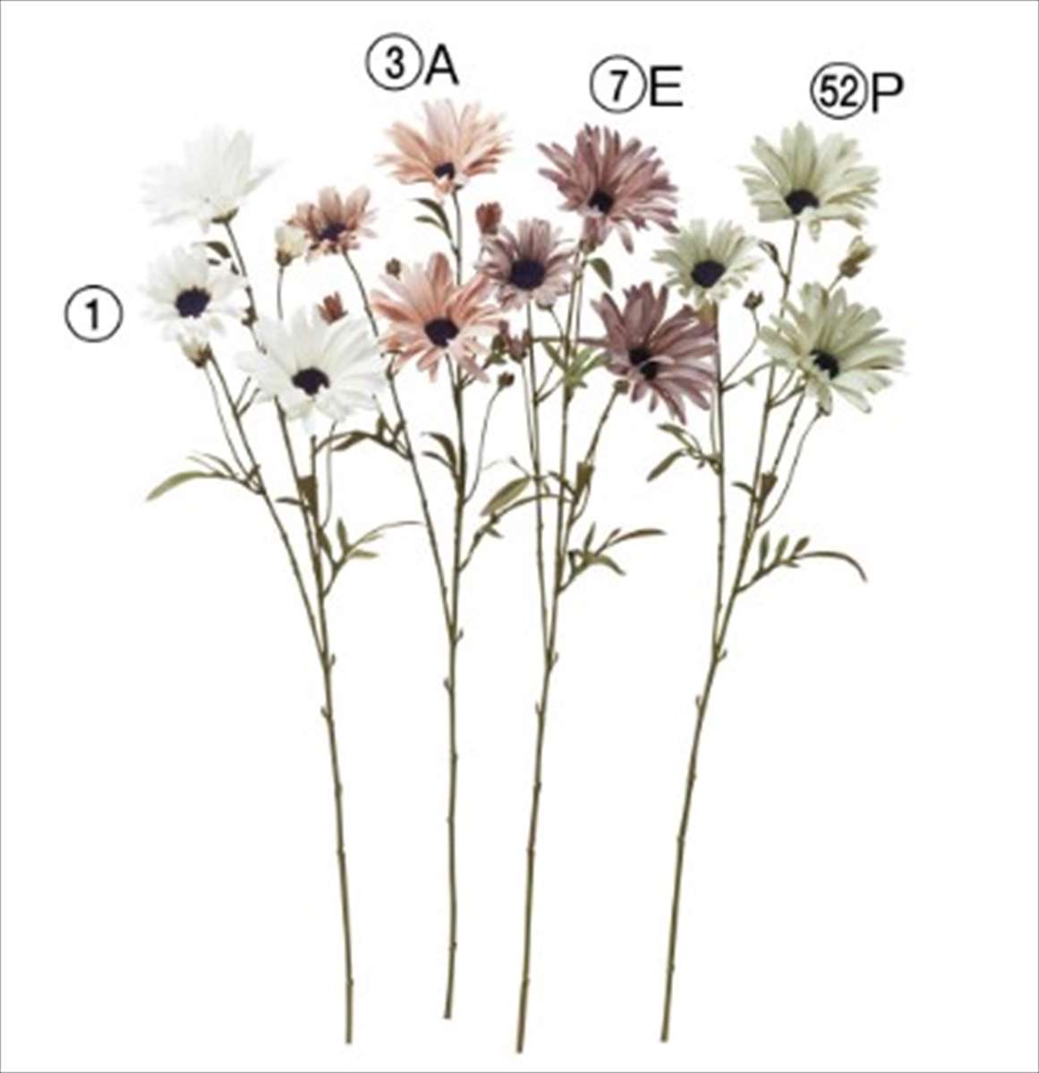 asca アスカ ドライルックデージー×3 つぼみ×4 ホワイト A-34416 造花 アーティフィシャルフラワー 花材