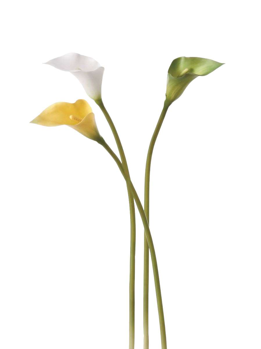 asca アスカ カラーリリィ ホワイト A-32623-001 造花 アーティフィシャルフラワー 花材