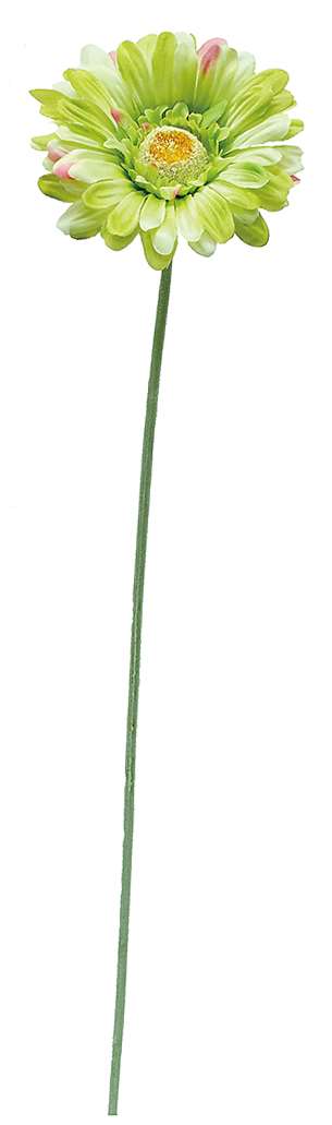 エルアーツ シングルガーベラスプレー グリーン E2586-11 4534142258617 造花 アーティフィシャルフラワー 花材