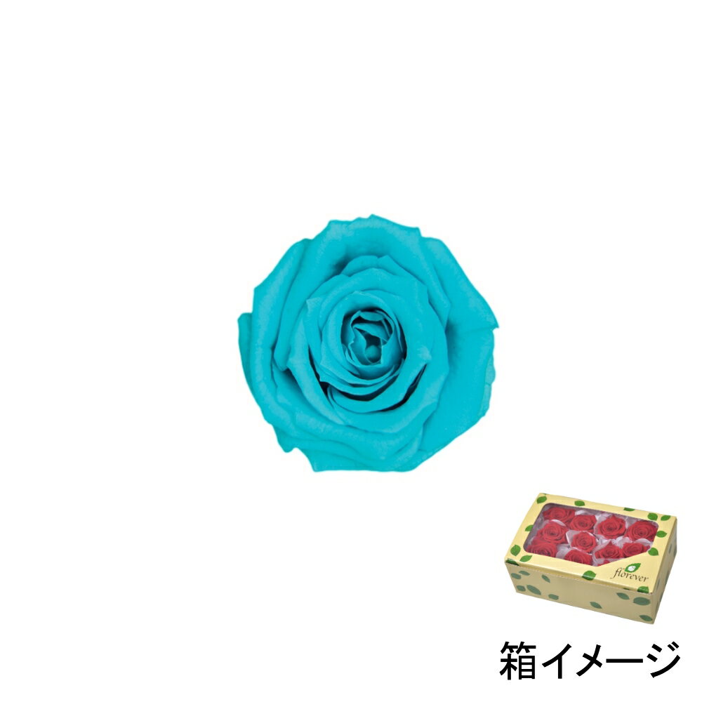 フロールエバー florever ベイビーローズ カリビアンブルー FL050-72 4543567505725 ローズ プリザーブドフラワー花材