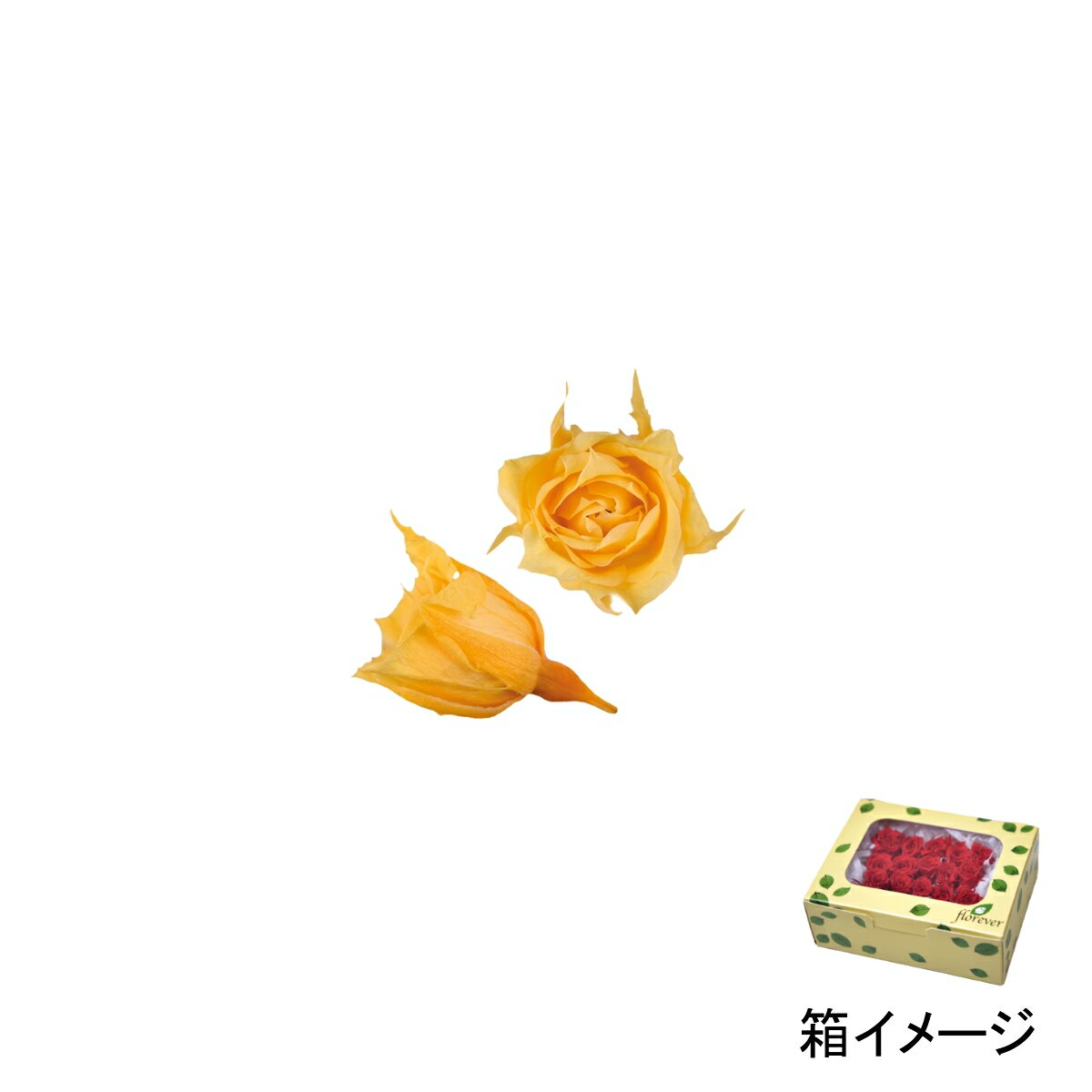 フロールエバー florever マイクロローズ イエロー FL060-02 4543567506029 ローズ プリザーブドフラワー花材