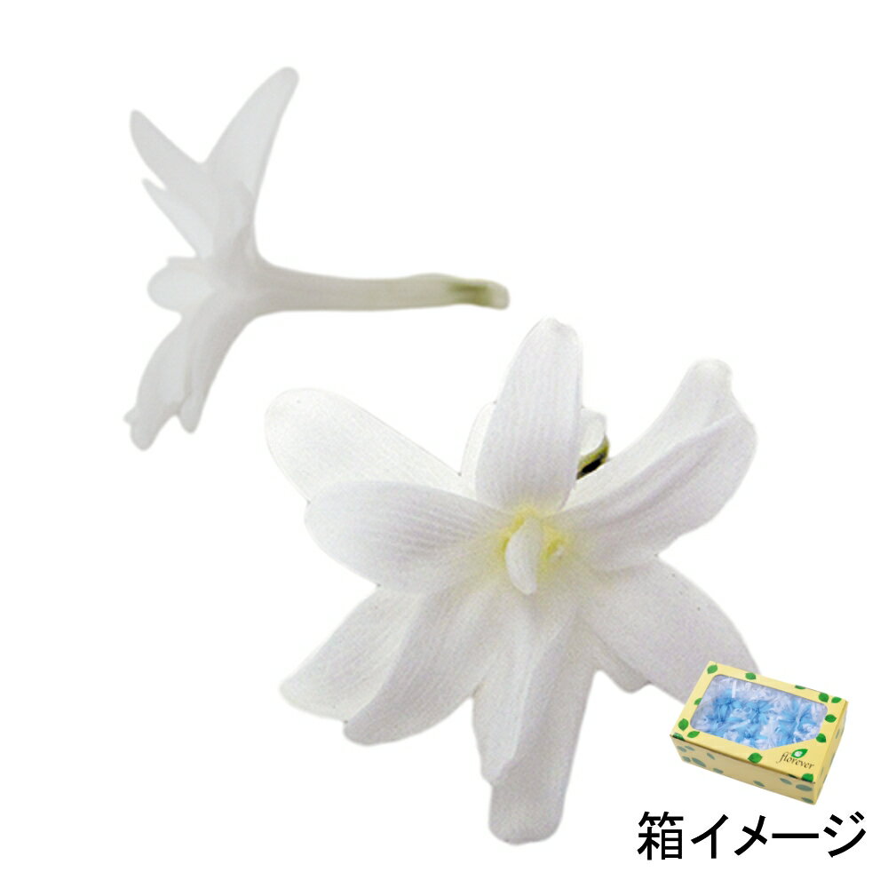 フロールエバー florever チューベローズ パールホワイト FL330-01 4543567533018 その他の花 プリザーブドフラワー花材