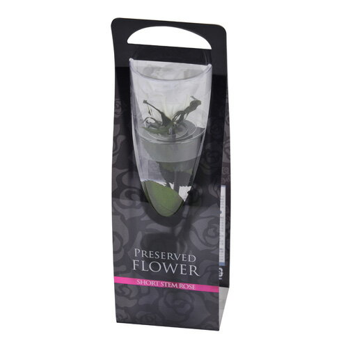 フロールエバー florever ショートステムローズ パールホワイト FL072-01 4543567812014 プリザーブドフラワー花材