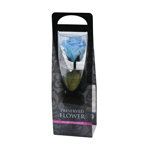 フロールエバー florever ショートステムローズ パウダーブルー FL072-13 4543567812137 プリザーブドフラワー花材