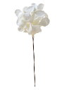 フロールエバー florever プレタポルテ アンデスアジサイ パールホワイト FLPP2911-01 4543567823201 プリザーブドフラワー花材