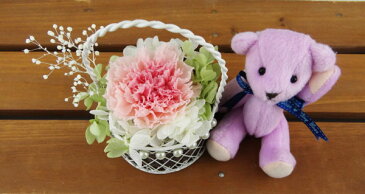 【即納】 プリザーブドフラワー 電報 結婚式 結婚祝い 誕生日プレゼント テディベア パープル と セレナ カーネーション 2色ピンク