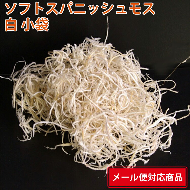 【メール便 対応】 大地農園 スパニッシュモス・ソフト・小袋 61061-011 白 50g 4988489075459 国産 プリザーブドフラワー 花材 ブリザードフラワー プリザーブドグリーン アレンジ資材 クリスマスリース