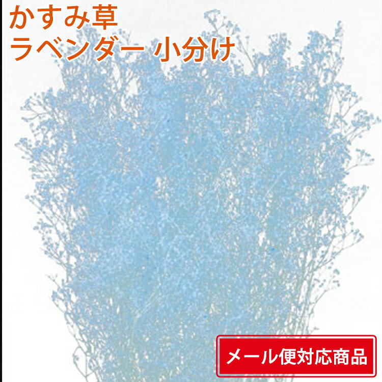 【メール便 対応】 そらーる そらプリ 大地農園 ミニカスミ草 小分け x2-oh-00010-410 ラベンダー 4573338633838 カ…