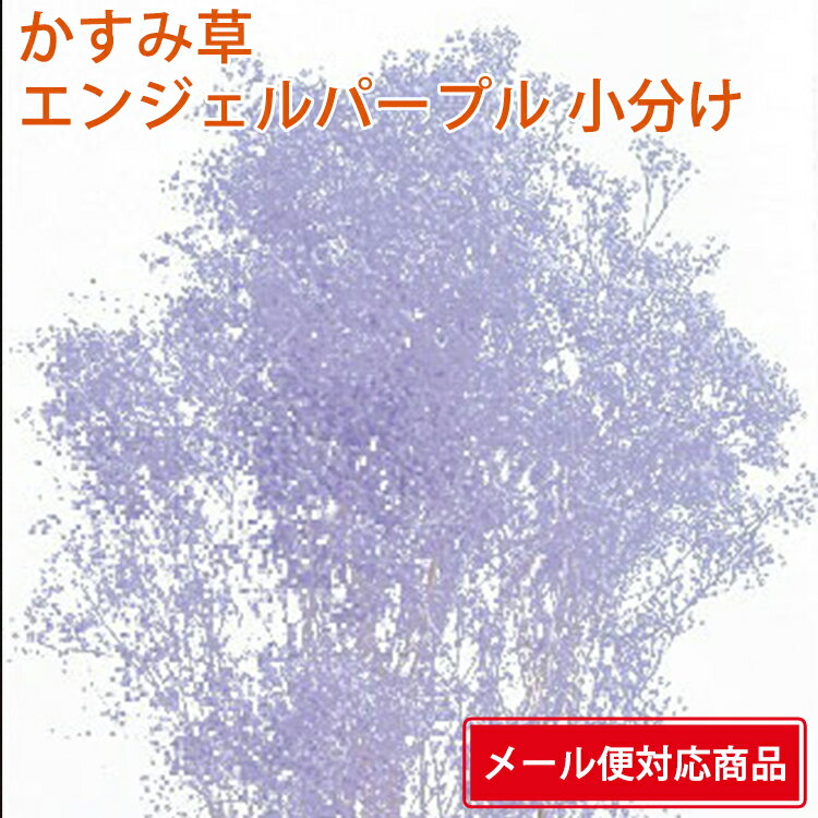 【メール便 対応】 そらーる そらプリ 大地農園 ミニカスミ草 小分け x2-oh-00010-441 エンジェルパープル 4573338633852 カスミソウ プリザーブドフラワー花材 アレンジ資材