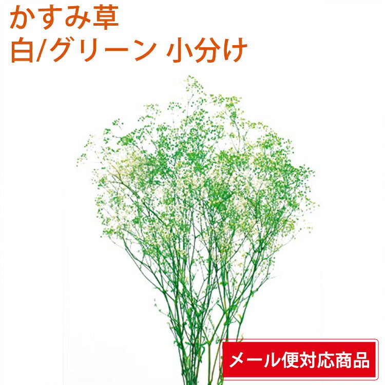 【メール便 対応】 そらーる そらプリ 大地農園 ミニカスミ草・フラワーベール 小分け x2-oh-00015-017 白／グリーン 4573338633999 カスミソウ プリザーブドフラワー花材 アレンジ資材