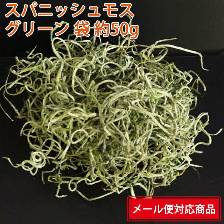 【メール便 対応】 大地農園 スパニッシュモス・ソフト・小袋 61061-707 グリーン 50g 4988489055895 国産 プリザーブドフラワー 花材 ブリザードフラワー プリザーブドグリーン アレンジ資材 クリスマスリース