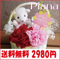 商品 piana ピアナ