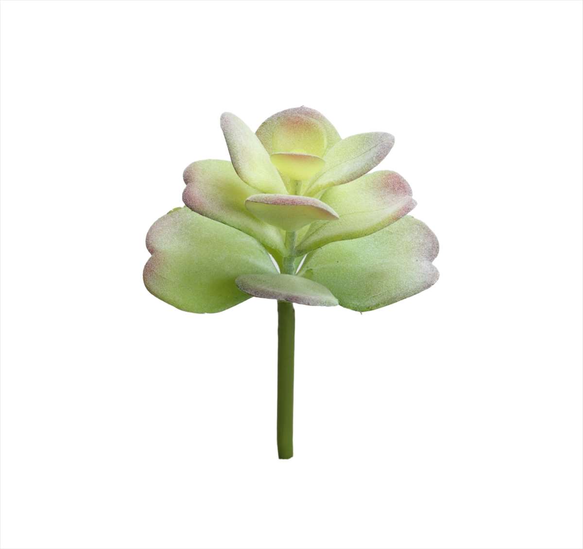 ビダヤコム サッカラン グリーン T0217-24 4571131323611 造花 アーティフィシャルフラワー 花材