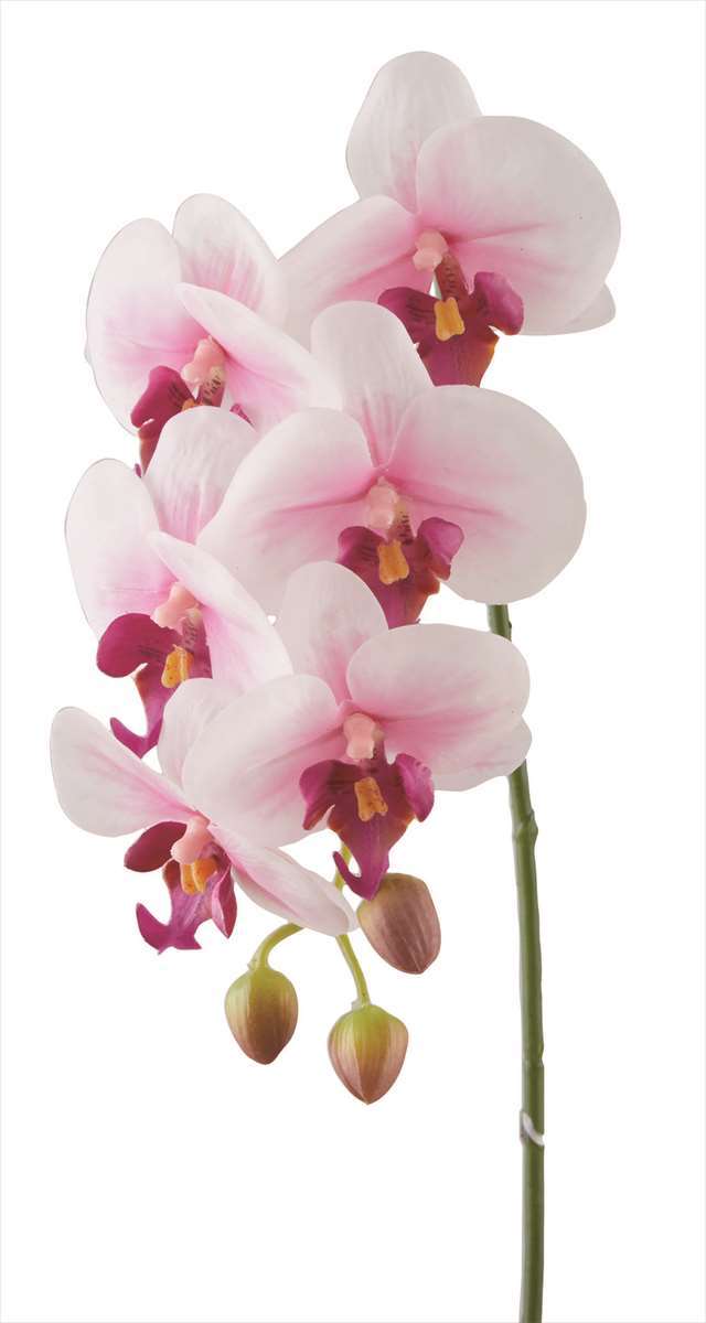 ビバ工芸 ミニコチョウラン VD-4145-PI 4951614414515 造花 アーティフィシャルフラワー 花材