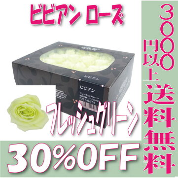 【即納】 プリザーブドフラワー 花材 30%OFF ビビアン ローズ【フレッシュグリーン 箱 24輪】 大地農園