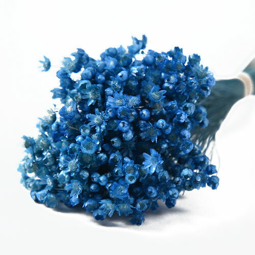 【即納】 プリザーブドフラワー 花材 30%OFF マルセラ【ブルー 袋 約15g入】フロールエバー