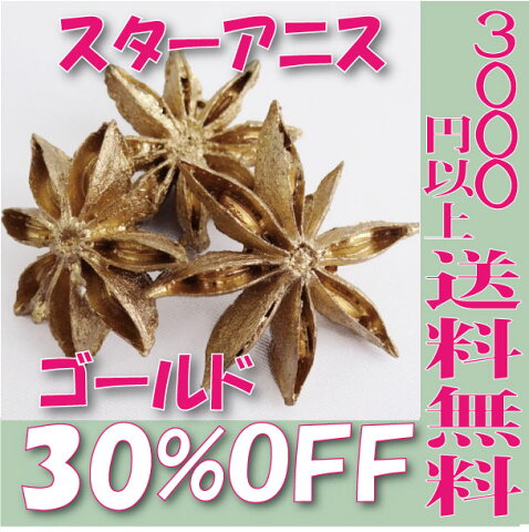 【即納】 プリザーブドフラワー 花材 30%OFF スターアニス 【ゴールド 大袋約17個】 大地農園 実もの プリザービング クリスマス リース ツリー 材料 飾り ハロウィン