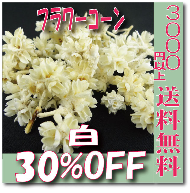 【即納】 プリザーブドフラワー 花材 30%OFF フラワーコーン【白 袋 約30個入】 大地農園 実もの プリザービング