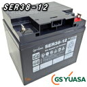 SER38-12　ジーエス・ユアサ（GS YUASA）　SERシリーズバッテリー（小型電動車用制御弁式鉛蓄電池）