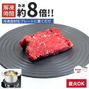 最大300円off● 熱伝導 解凍 プレート 急速解凍 解凍板 解凍ツール 解凍皿 トレー 粗熱 まな板 ドリップ 冷凍食品 アウトドア 時短 旅行 フライパン 調理 24cm 快速解凍 急速冷却 瞬間冷却 自然解凍 肉 ステーキ 魚 刺身 余熱調理 料理 鮮度維持