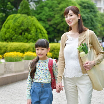 《半永久持続》《特許取得済》《日本製》1本セット 除菌スプレー アルコール除菌 より高い除菌力 ハンドジェル 部屋除菌 300ml 除菌クリーナー 除菌 洗浄 速乾性 ウイルス対策 健康 衛生 手指 消毒 消臭 電解水 微酸性 ペット臭 リビング カーテン 寝室 オフィス キッチン