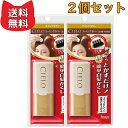 ホーユー シエロ コーミングカバー (ライトブラウン) 9mL 【2個セット】