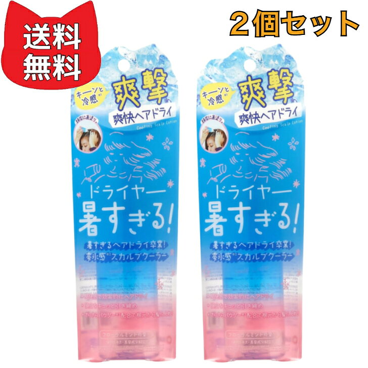 リベルタ Coolist クーリスト スカルプクーラー フローラルミントの香り  お風呂上り ドライヤー 暑さ対策