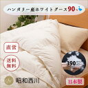 2枚合わせ羽毛布団ハンガリー産ホワイトグース90%0.9kg+0.3kgEC60/西川オールシーズン一年中白ホワイトグース良質羽毛★楽天1位入賞★