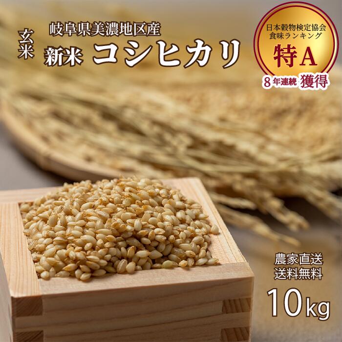 令和7年度　新米　玄米　岐阜県美濃地区産コシヒカリ　10kg　日本穀物検定協会【特A】8年連続獲得中!!
