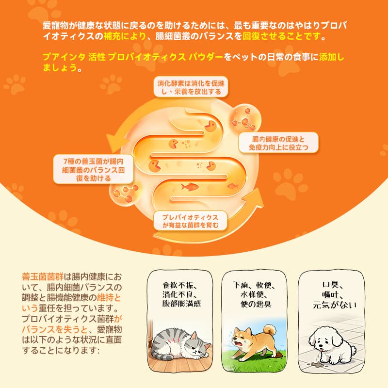 【公式】プアインタ（Puainta） プロバイオティクス ペット用 善玉菌 消化器健康サポート 犬 猫用プロバイオティクス ペットサプリメントプロバイオティクス ビタミンB 消化機能＆免疫健康サポート solfgoods-10000020 PUAINTA楽天市場店 サンプル画像3