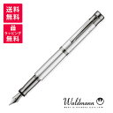 Waldmann ヴァルドマン Tango タンゴ ルテニウム 万年筆 WDMN-4756/4681/4757