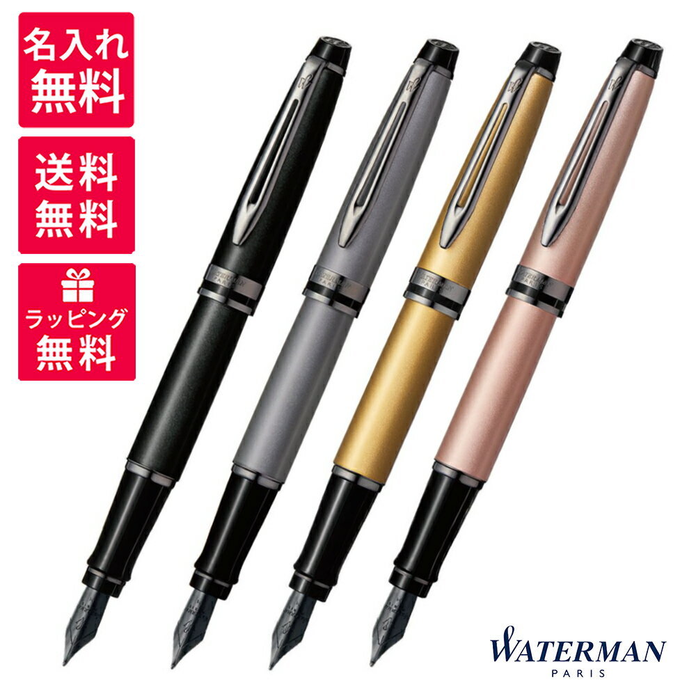 ウォーターマン 万年筆 【名入れ無料】ウォーターマン WATERMAN エキスパート EXPERT 万年筆 メタリック ブラック シルバー ゴールド ローズ RT