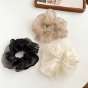 \2点10%OFF、3点20%OFF COUPON/ヘアゴム 全5色 シュシュ ラメ糸 シースルー シンプル 無地 黒デイリー オフィス ヘアアクセサリー 髪留め ヘッドアクセサリー パーティー 可愛い キュート ヘアアレンジ レディース 七五三 学校行事 大人 子供