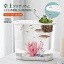 【新発売限定記念価格!】水槽 小型水槽 金魚鉢 アクアリウム水槽 金魚 透明 観葉植物を入れて メダカ水槽 観賞魚飼育 水草育成 大容量 金魚 亀水槽 卓上アクアリウム 飼育セット 熱帯魚 メダカ